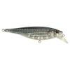 Berkley Juke Fishing Lure, Mullet, 100, 4in | 10cm, Flat-Sided