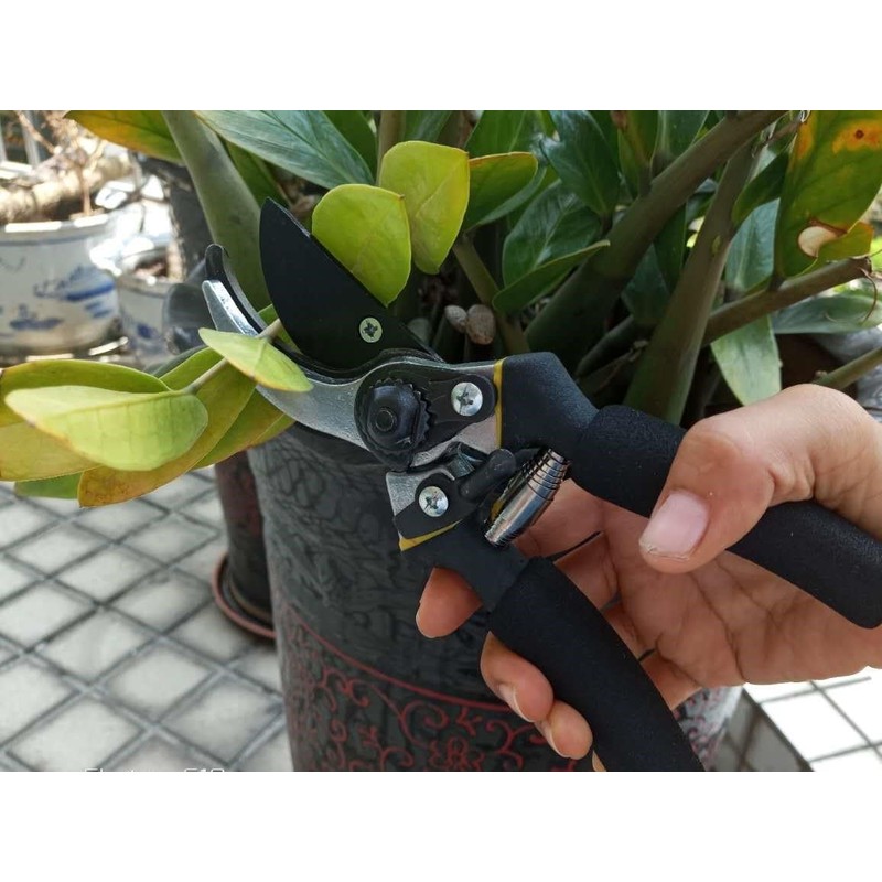 PEXIQAKA 8" Professional Premium Pruning Shears Safety Lock Hand Pruners