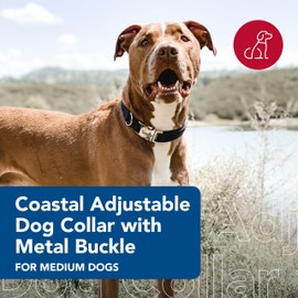 Coastal Pet Adjustable Dog Collar with Metal Buckle - Fade-Resistant Dog Collar Perfect for Walking & Tie Outs - Comfortable Collar with Snap Lock - Hunter - 1" x 14"-20"