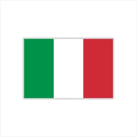 Womaha 30 Temporary Italy Flag Tattoos Fans Face Tattoo Stickers for Adults Kids Group Activity Props