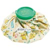 Skater ICB2-A Ice Bag, M, Pokemon 5.9 inches (15 cm)