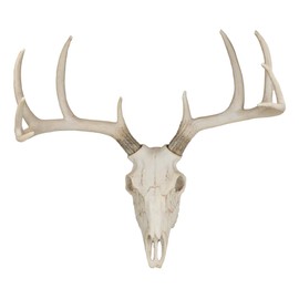 Ebros 18.5"L 10 Point Buck Head Wall Mount Resin Stag Deer Skull Antler Rack Bust Hunting Cabin or Lodge Decor Skull Antlers Home Accent