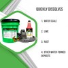 QwikDescaler + Concentrated Descaler Solution, Tankless Water Heater Descaling Solvent