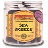 Wildberry Back Flow Cones Sea Breeze
