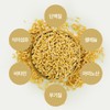 Kim So-hyung's studio Kamut Enzyme Powder Powder Kamut Brand Wheat