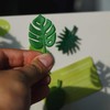AGDGV 8 Pcs Monstera Plant Fridge Magnets | Cute Mini
