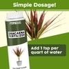 TPS NUTRIENTS Dracaena Fertilizer for All Dracaena Plants and Trees,