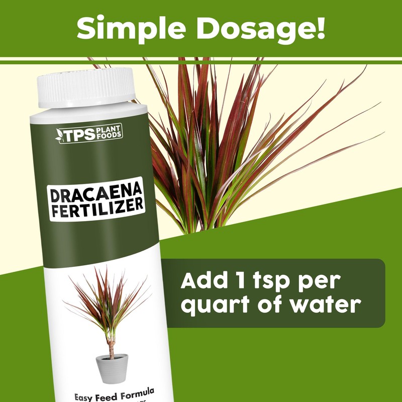 TPS NUTRIENTS Dracaena Fertilizer for All Dracaena Plants and Trees,