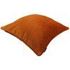McAlister Textiles Matt Velvet Cushions and Covers, 50 x 50
