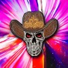 Unbranded skeleton Cowboy Iron On Patch