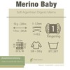 PASCUALI Merino Baby 100% Virgin Wool Merino Wool for Knitting