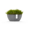 Sofia Flower Pot Collection - Designer Planter for Small Spaces