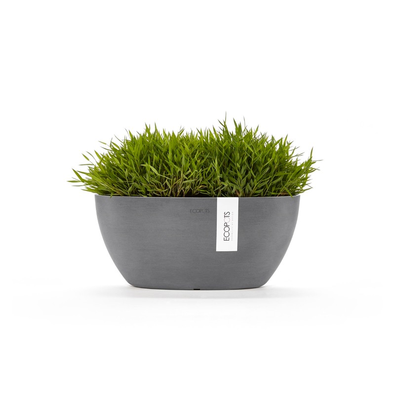 Sofia Flower Pot Collection - Designer Planter for Small Spaces