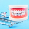 Dental Caries Teaching Model 1:1 Adult Life Size - Non-Removable