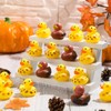 Jerify Thanksgiving Rubber Ducks 2 Inch Fall Rubber Duck with
