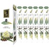 ZED BLACK Premium Eucalyptus Natural Incense Sticks - 20 Sticks