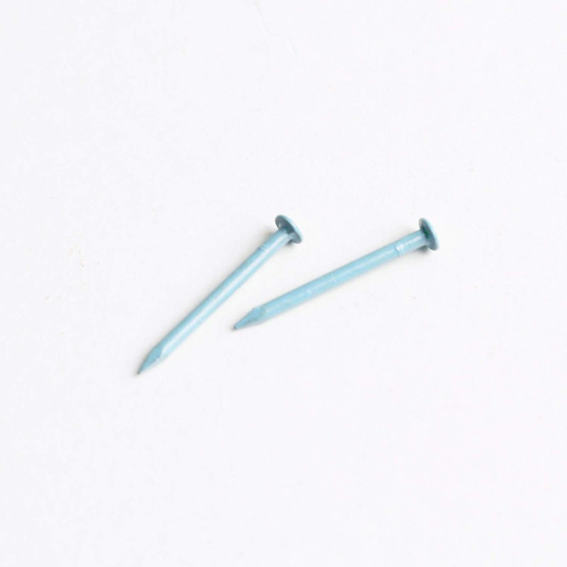 Wakai Sangyo NB70020 Nail It Nail Color, 0.7 inches (19