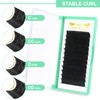 Easy Fan Lashes C-0.03-8 Self-Fanning Eyelashes for Volume Technique C