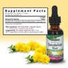 Answer Dandelion Root | Supports Healthy Liver Function | Low