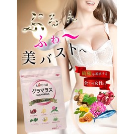 【訳あり】アニエル/ANIERU グラマラスレスキューWOM 60粒 GLAMOROUS エラスチン ワイルドヤム ザクロ果汁 フィッシュコラーゲン