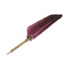 Feather Pen Set with 10 Interchangeable Nib Fire Lacquer Wax