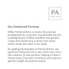 PerfectAmino Electrolytes - Complete Electrolyte Powder with Perfect Amino, Sugar