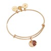 Alex and Ani Pomegranate Bangle