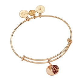 Alex and Ani Pomegranate Bangle
