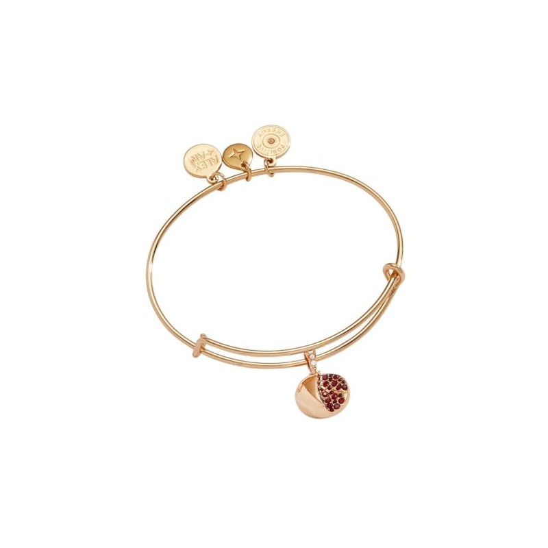 Alex and Ani Pomegranate Bangle