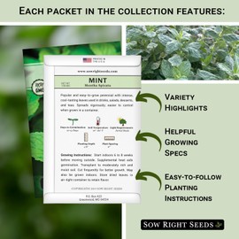 Sow Right Seeds - Mint and Peppermint Seeds Collection for Planting - Non-GMO Heirloom with Instructions to Grow an Herb Garden Indoors or Outdoors - Great Hydroponics Variety - Gardening Gift