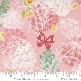 Moda Wild Blossoms Queen Annes Lace Princess by Robin Pickens for Moda 1/2 Yard