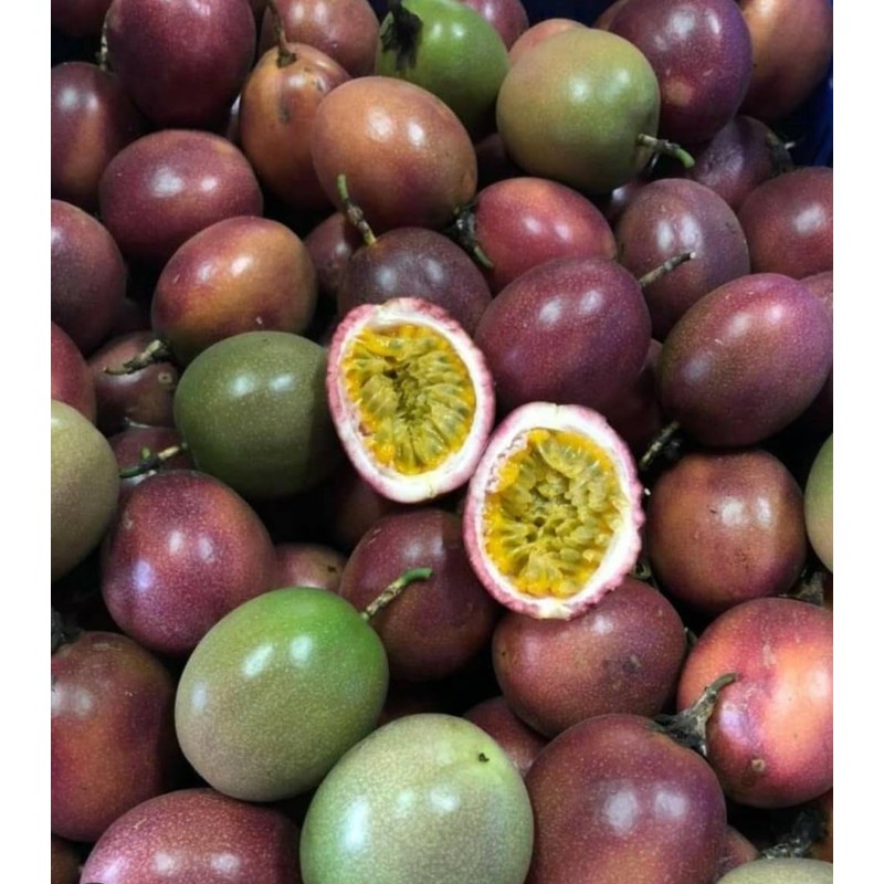 50 Passion Fruit Seeds, Passion Flower Exotic Edible Tropical Fragrant
