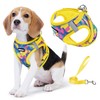 Jolifield Step in Dog Harness with Leash Set, Adjustable Soft