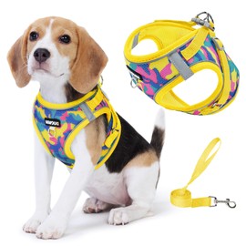 Jolifield Step in Dog Harness with Leash Set, Adjustable Soft Padded and Breathable Mesh for Medium Sized Dog, Reflective No Pull No Choke Cat Vest Harness, Easy Control Pet Vest, Yellow XL