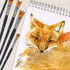 U.S. Art Supply 12 Piece Special Effects Artist Paint Brush