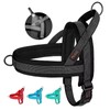Didog No Pull Dog Harness with Breathable Mesh Padded, Full