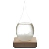 HOME DECO FACTORY, HD0384, Tempest Glass Height 17 cm -
