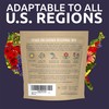 Texas Oklahoma Wildflower Seeds Mixture - Bulk 1 Ounce Packet
