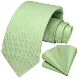 HISDERN Ties for Men Sage Green Formal Wedding Tie Elegant Business Tie with Pocket Square Set Classic Party