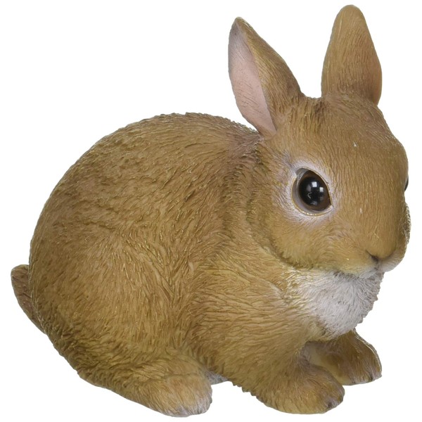 Magnet PET Bank RABBIT (Rabbit) 974 Beige