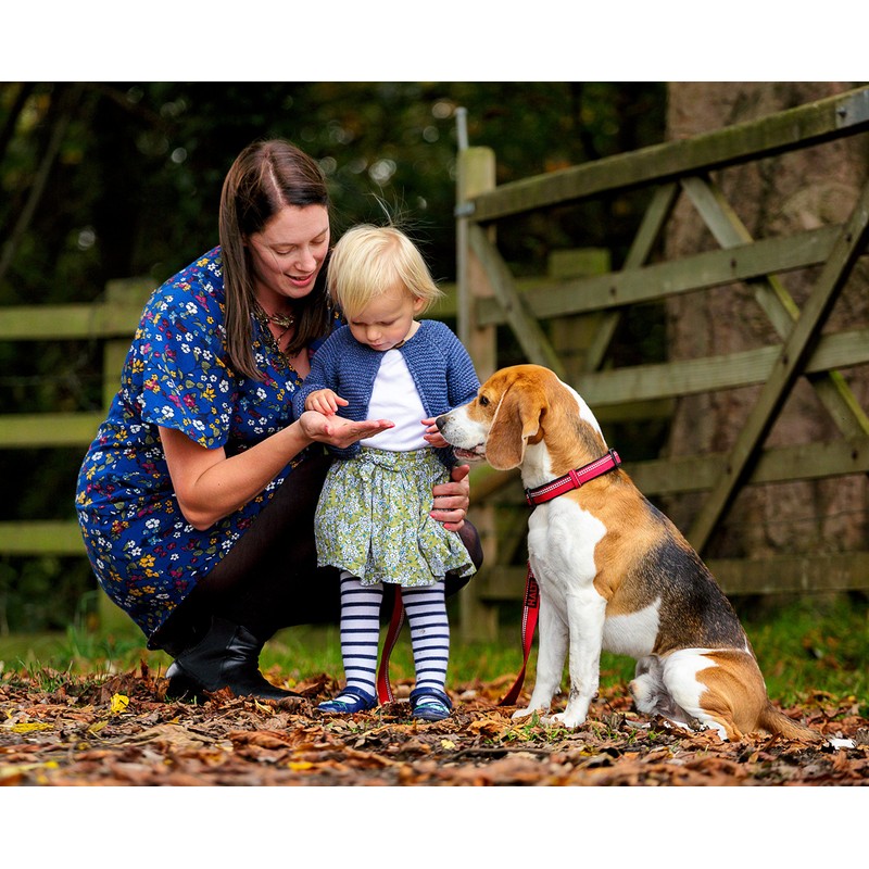 Halti Collar (8" - 12"), X-Small, Red