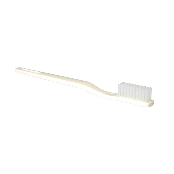 Box 24 Disposable Toothbrushes - Individually Wrapped