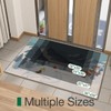 LUMI Art Doormat, Luxury Non-Slip Door Mat, Washable Skiing Rug,
