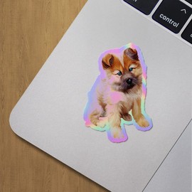 Holographic Decal Stickers of Cute Dog Premium Waterproof Vinyl Decal Stickers for Laptop Phone Accessory Helmet Car Window Mug Tuber Cup Door Wall Decoration ANDVER3g9438bHO