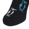 Chums CH06-1127 3P Booby Ankle Socks, Set of 3 colors,