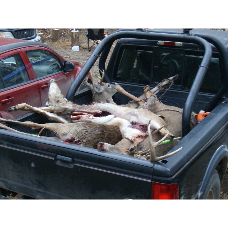 Parche de caza de ciervos Michigan 1980 extoso DNR -