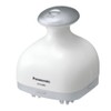 Panasonic scalp Este (Oil Type) Silver EH – hm94 – Small