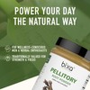 bixa BOTANICAL Pellitory Root Powder | Anacyclus pyrethrum/Akarkara | Ayurvedic