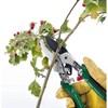 Draper Expert 36542 2-in-1 Bypass Pattern Pruner and Mini Lopper