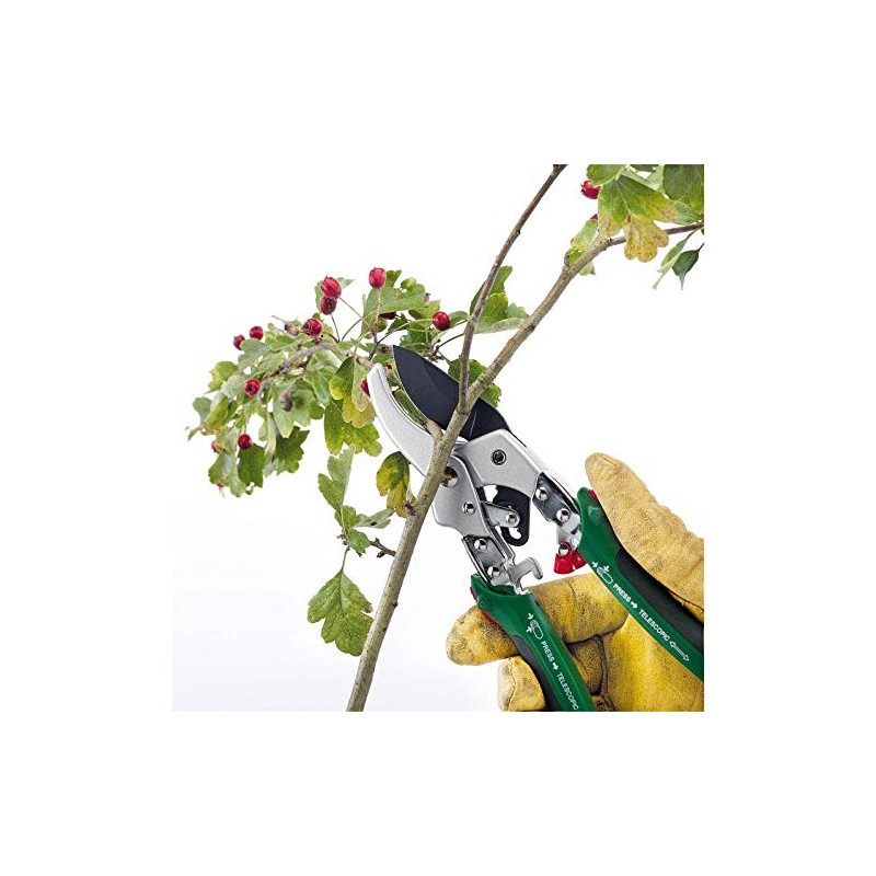 Draper Expert 36542 2-in-1 Bypass Pattern Pruner and Mini Lopper